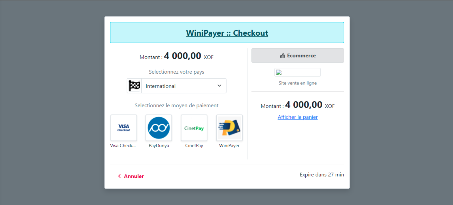 winipayer-page-payment